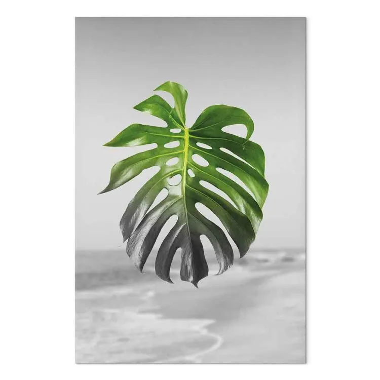 Leaf of Monstera (1 Part) Vertical