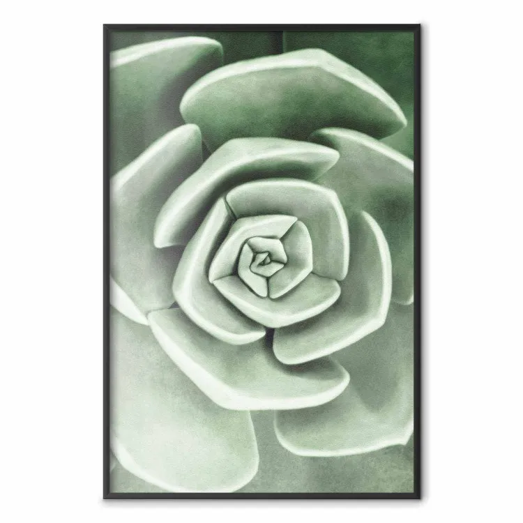 Mooie vetplant - Scandinavische plantaardige compositie met groene bladeren