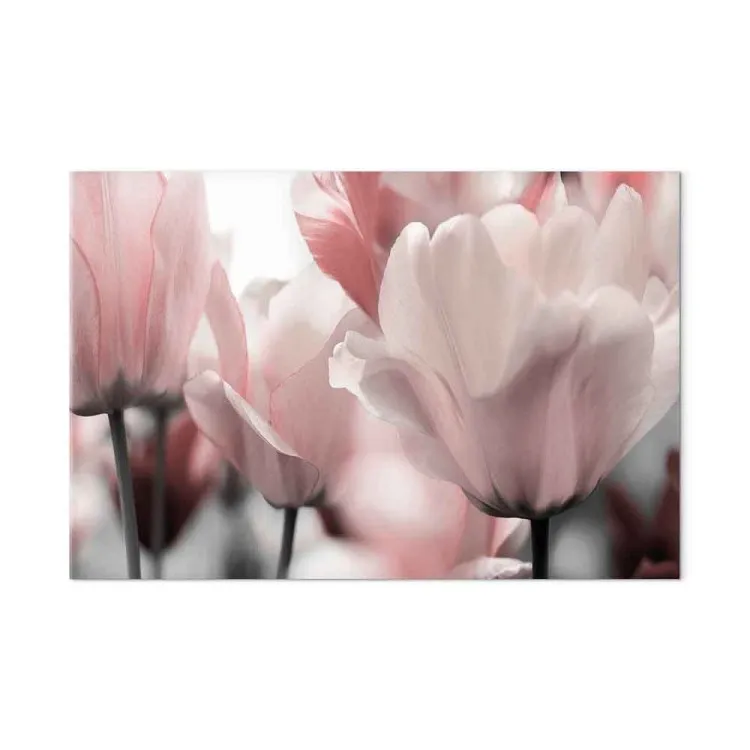 Lentebloemblaadjes (1-delige serie) - Tulpbloem in een roze tint