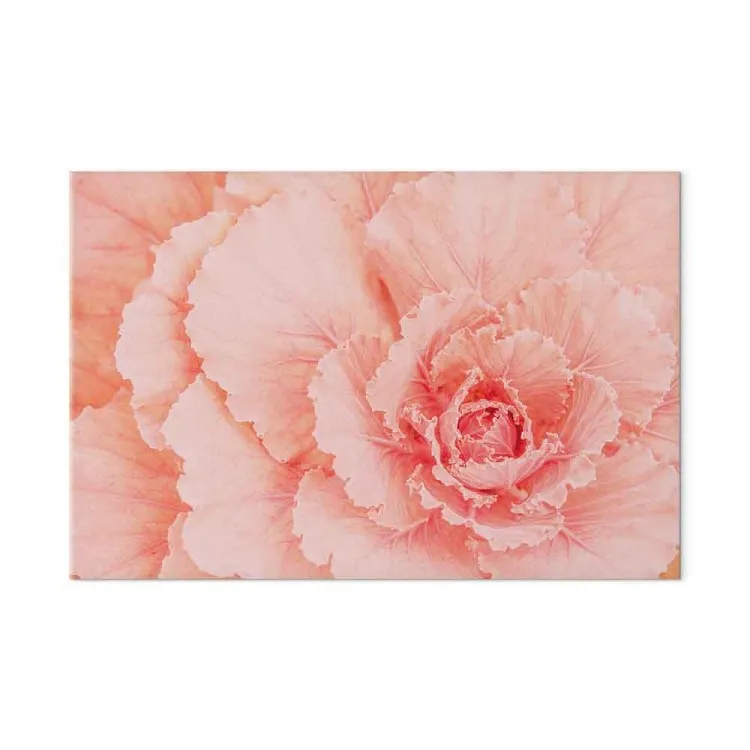 Delicate bloem - een subtiele plant in de kleur van natuurlijk roze