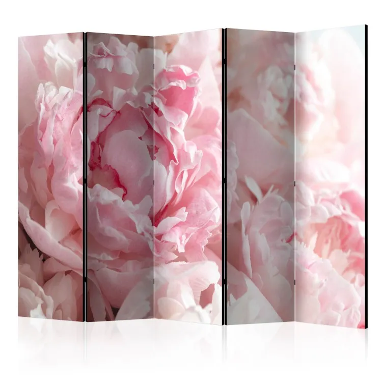 Zoete pioenrozen II - roze bloemblaadjes op de achtergrond van zonnestralen