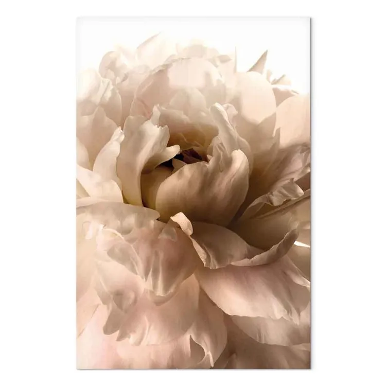 Soft Petals (1 Part) Vertical