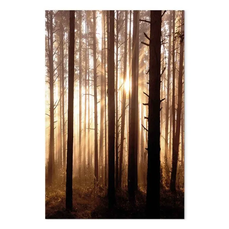 Forest Paths (1 Part) Vertical
