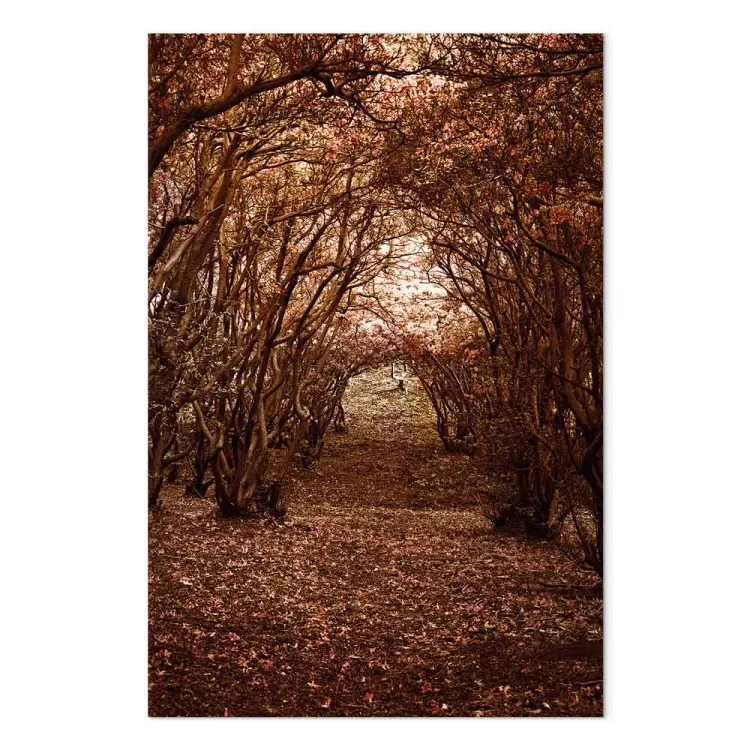 Een gang van bomen - een herfstlandschap van een pad in een bos