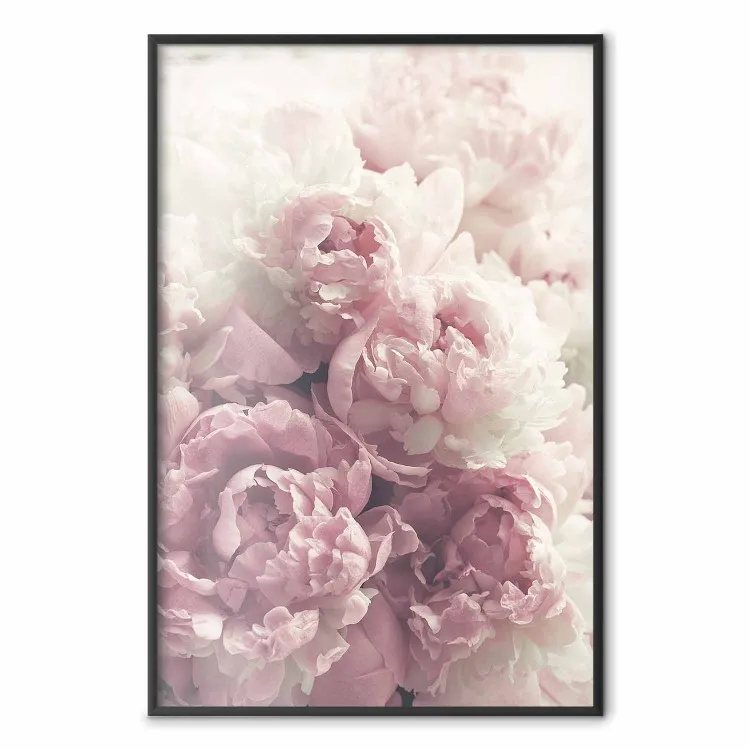 Zachte pioenen - landschap van een veld met witte en roze bloemen