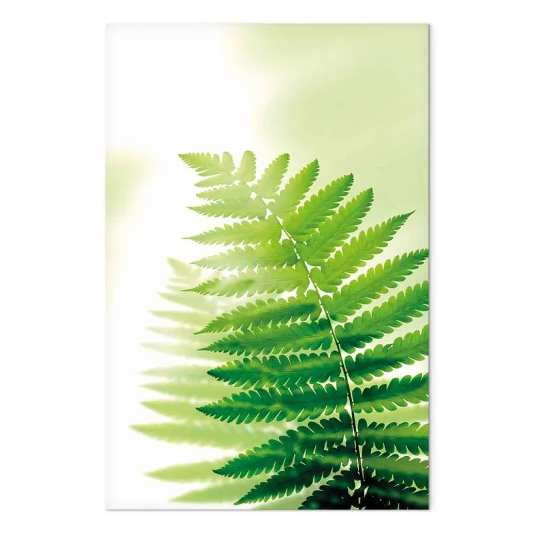 Fern (1 Part) Vertical