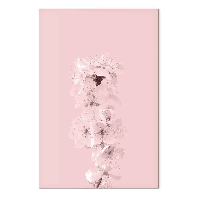 Lentetak vol appelbloesems - roze plantensamenstelling