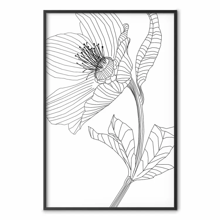 Lente schets - abstracte zwarte lijntekening van een plant op een witte achtergrond