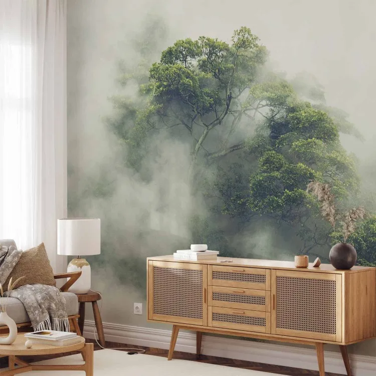 Foggy Amazon