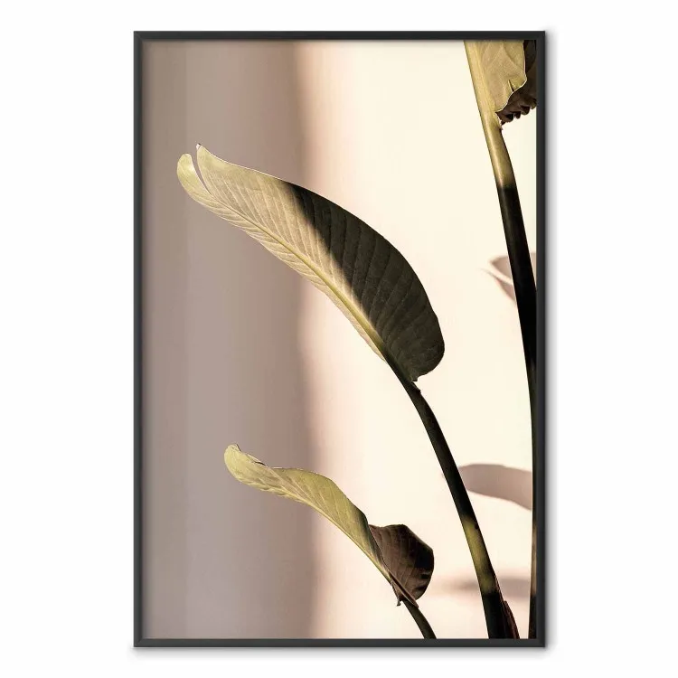 Zonnig Ritme - compositie met groene plantenbladeren op een lichte achtergrond