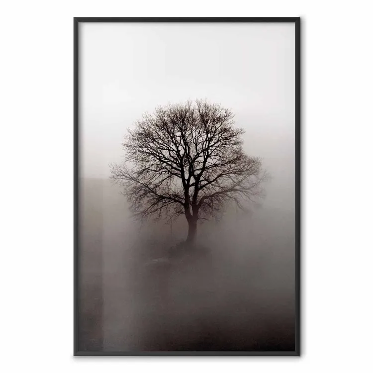Kracht in de boom sluimerend - landschap van een bladloze boom in dichte mist