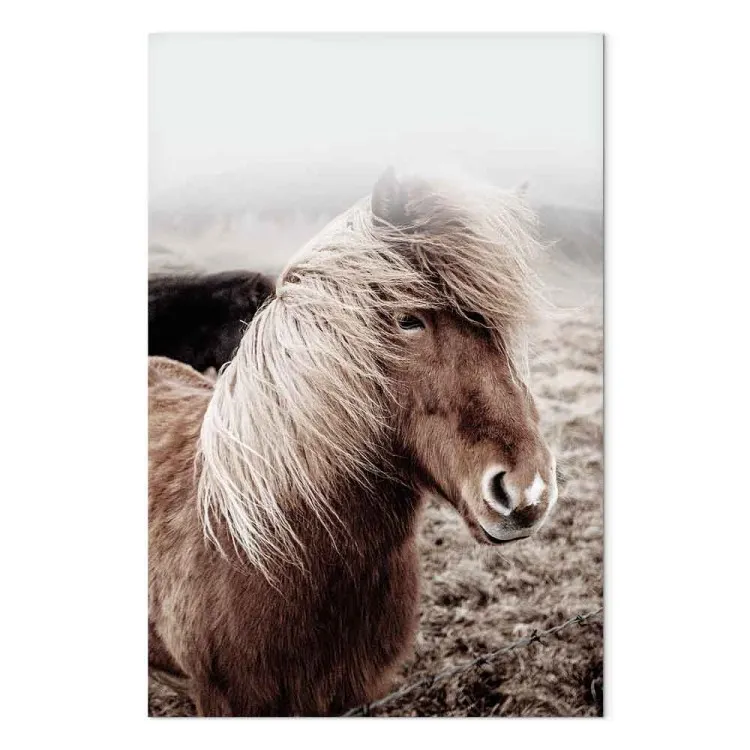 Tegen de wind in (1-delig) verticaal - paard in een portretfoto