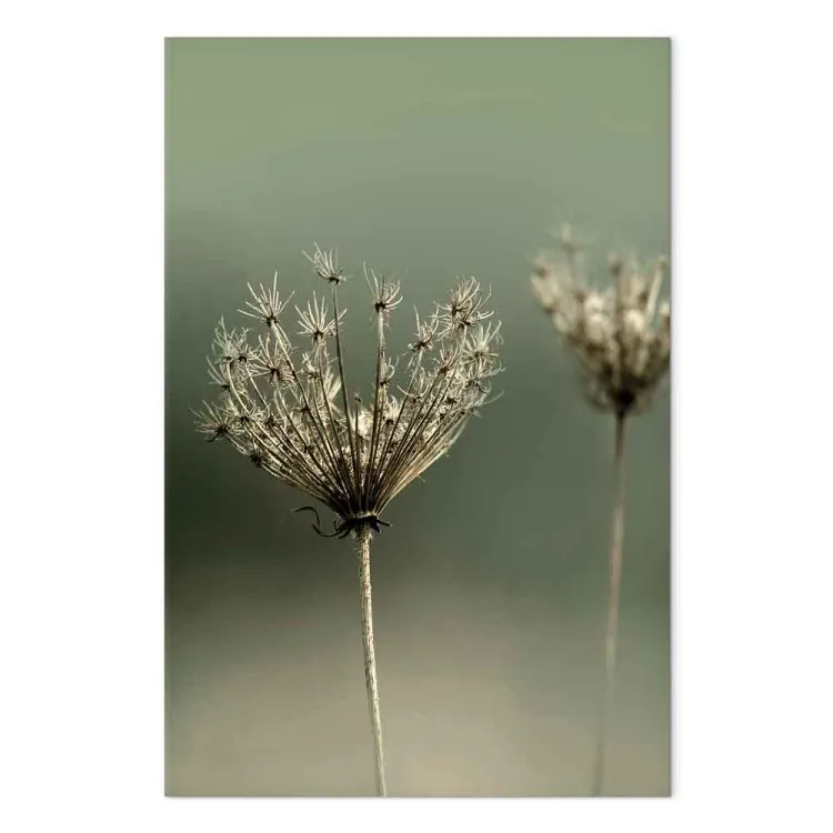 Verlangen naar afgelopen zomer (1-delig) verticaal - foto van bloemen
