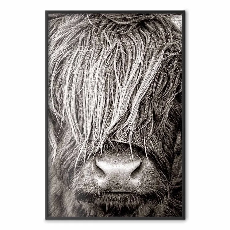 Oog in oog met de natuur - zwart-wit portret van een dier met haren