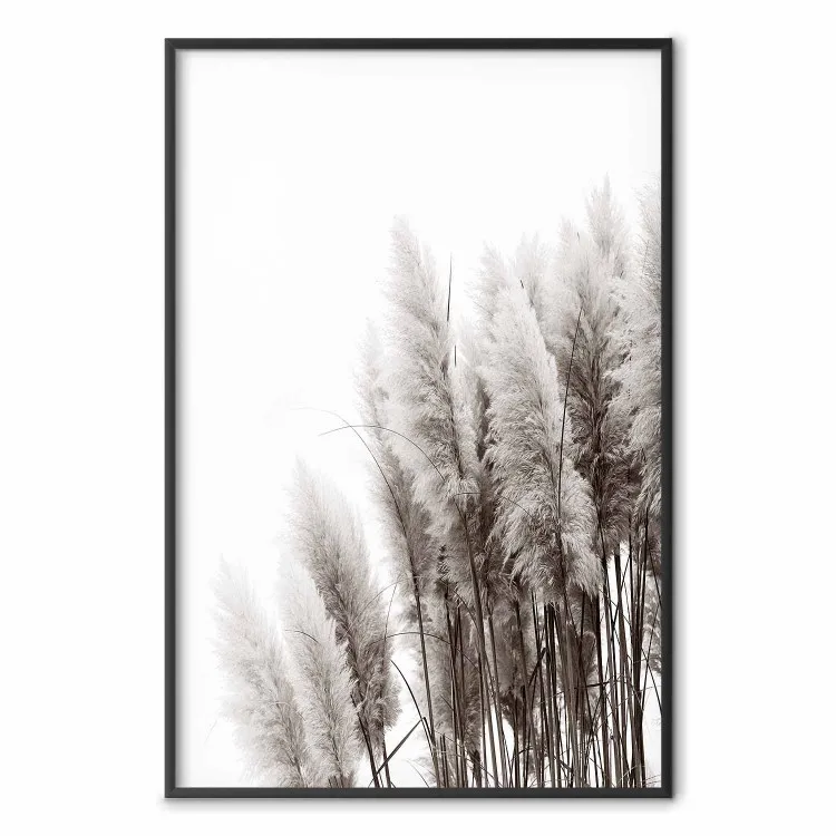 Wachtend op de wind - monochroom landschap van planten op een witte achtergrond