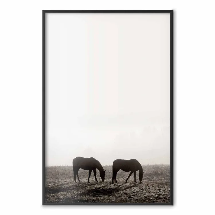 Ochtendpauze - landschap van paarden op een veld tegen de schittering van een heldere lucht