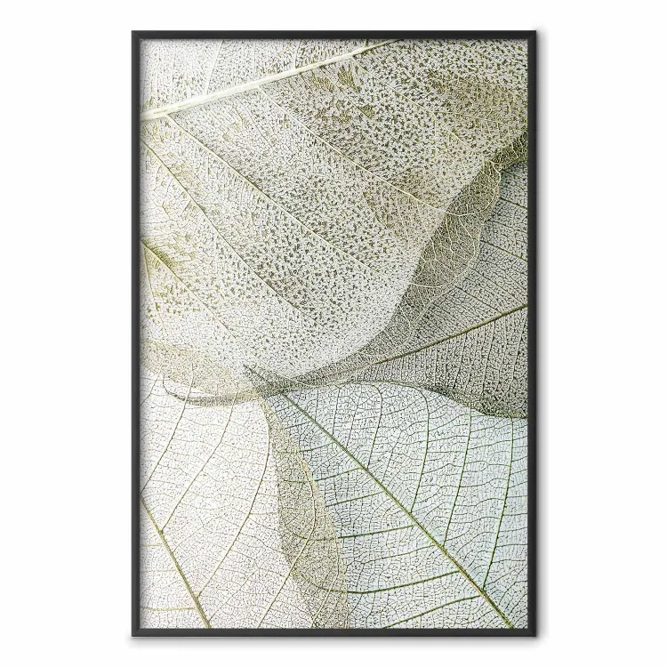 Bladerige configuratie - bladerige compositie met duidelijke textuur