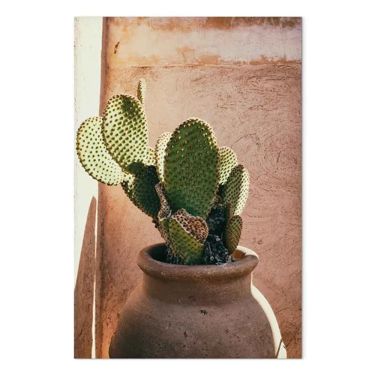 Cactus in pot (1-delige) verticaal - groene plant in Marokko