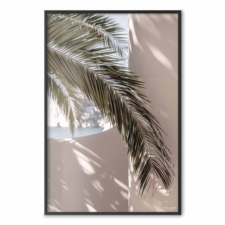 Terras met uitzicht - natuurlijke compositie van een palmboom tegen een lichte muur