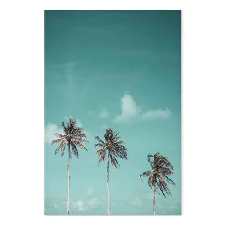 Drie palmbomen - het beeld van drie bomen tegen de blauwe lucht