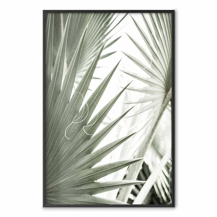 Groot licht - tropische compositie van groene bladeren op een lichte achtergrond