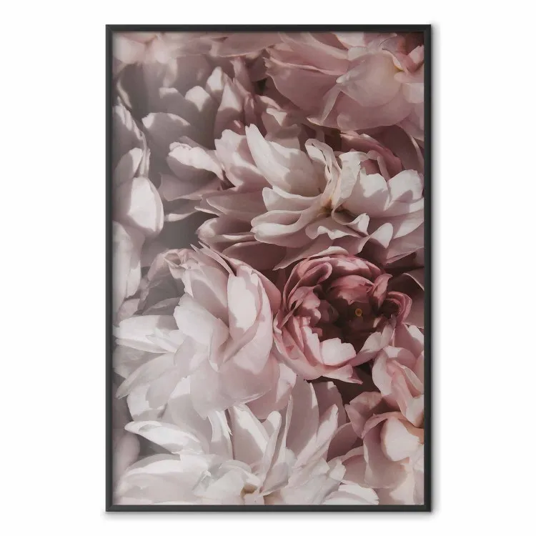 Zomer in de tuin - fluweelachtige compositie van zachtrode bloemen