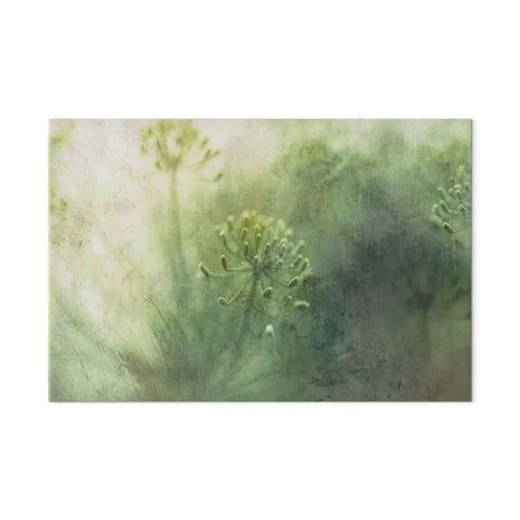 Mei bloemen in de mist - afbeeldingen met groene, wilde vegetatie