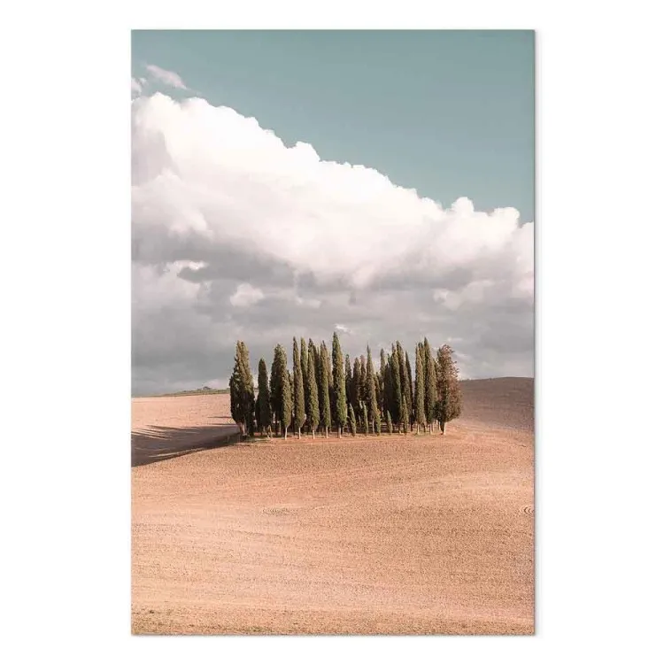 Toscaanse bos - foto met het landschap van Toscane