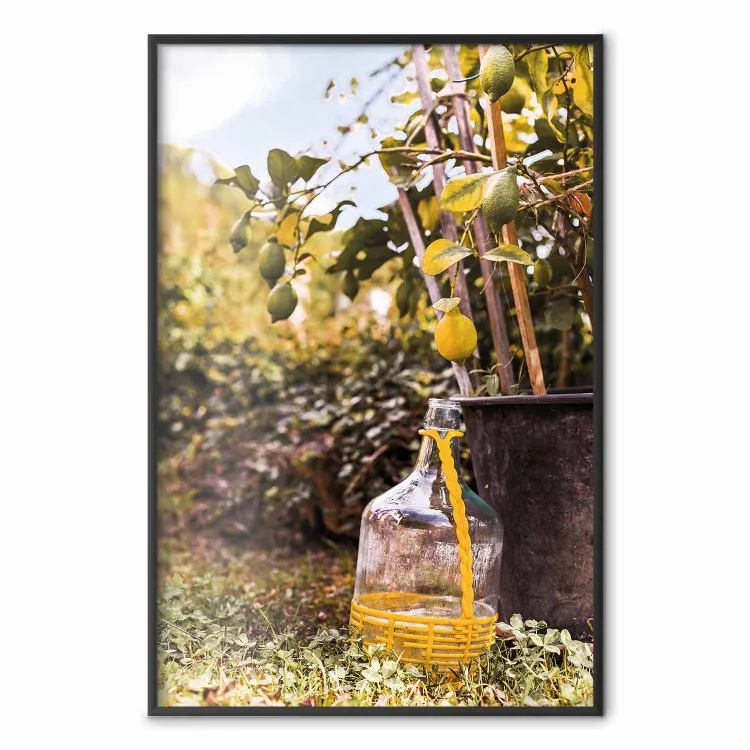 Citroenoogst - warme natuuropname met uitzicht op bloeiende planten