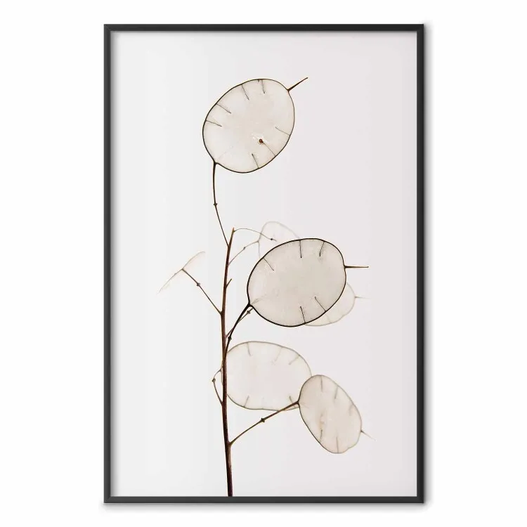 Zonnige richting - eenvoudige compositie van heldere planten op een witte achtergrond