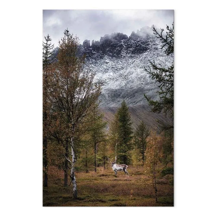 Herfstige gast (1-delig) verticaal - boslandschap met uitzicht op bergen