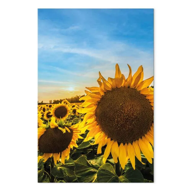 Bloemen van vrede (1-delig) verticaal - zonnebloemen op een uitgestrekt veld
