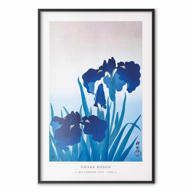 Blauwe irissen