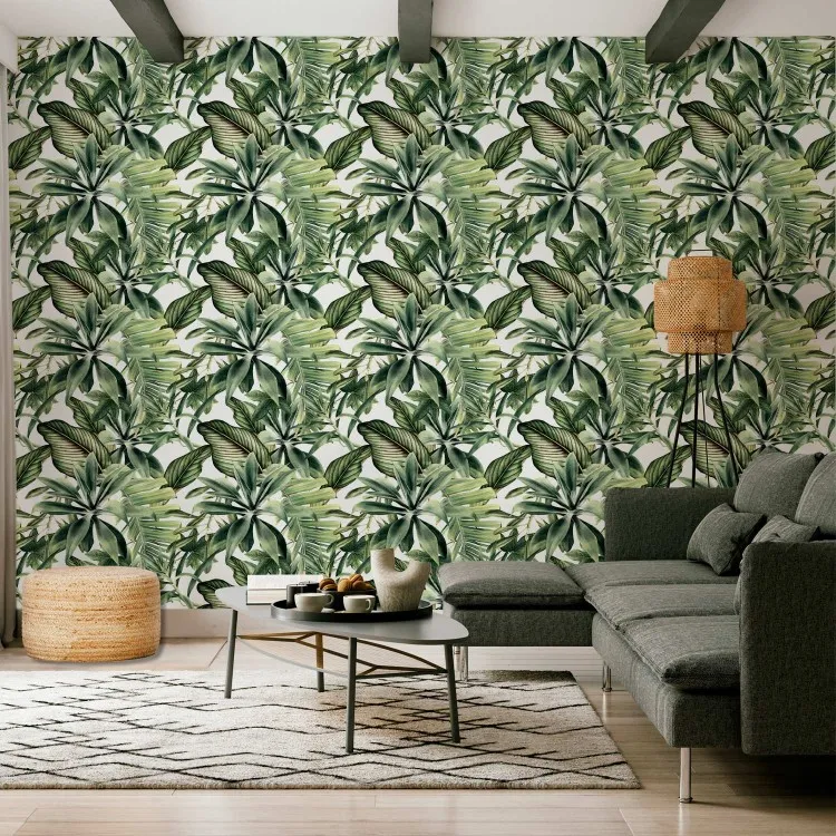Waaiers van planten