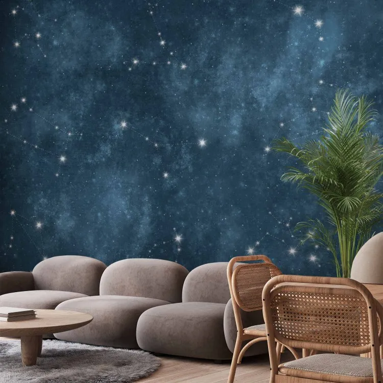Stars - Constellations of the Signs of the Zodiac in the Navy Blue Space