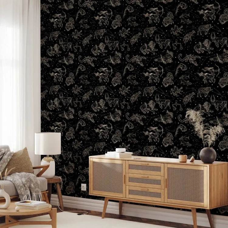 Dierenriemtekens - decoratieve symbolen op een achtergrond van nachtelijke hemel