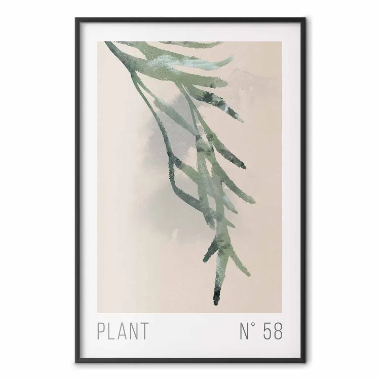 Plant nummer 58