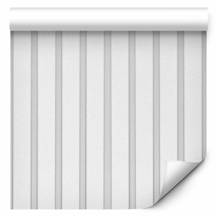 Lambrisering - harmonie en licht in witte houten decoratieve Lamellen