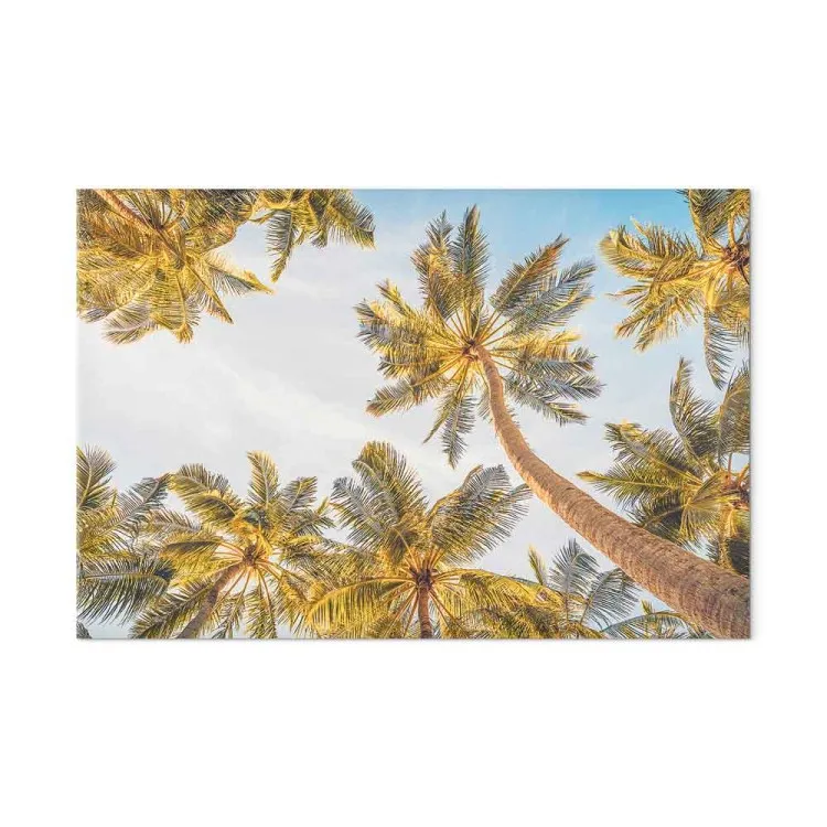 Palmtoppen - tropische bomen tegen een heldere lucht