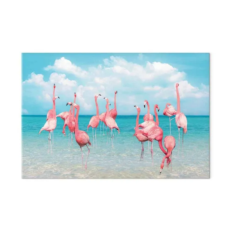 Tropische flamingo's - vogels in helder water onder een blauwe lucht