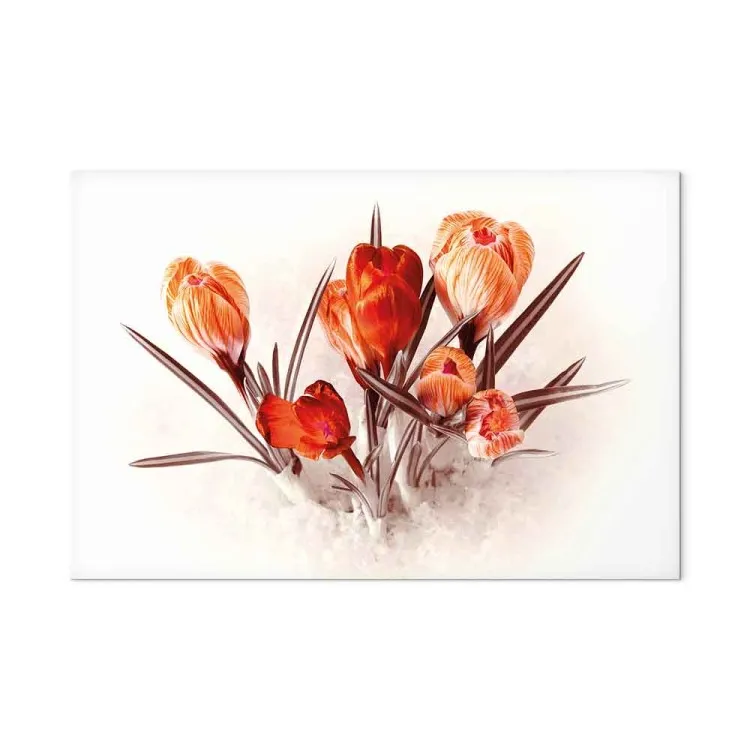 Rode krokussen (1-delig) - romantisch boeket lentebloemen